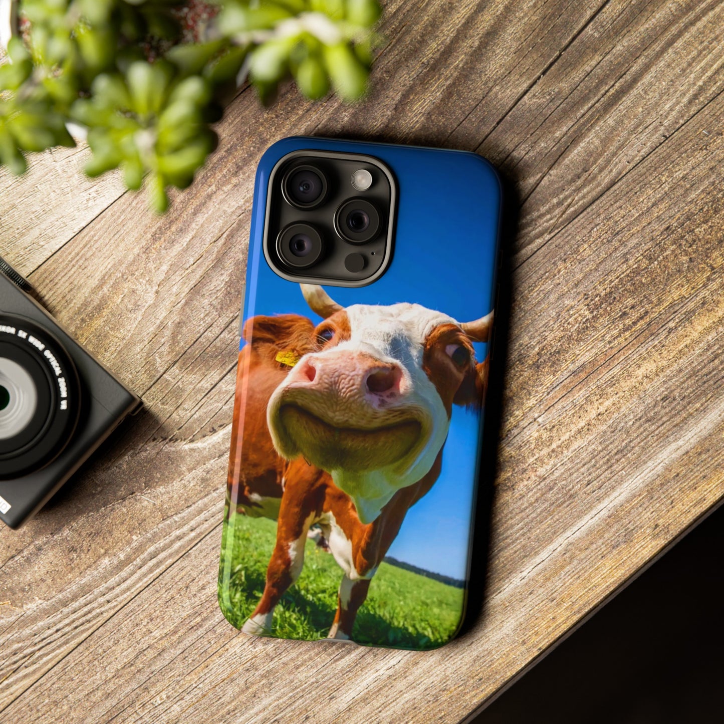 Dutch Cow Delight: Iphone 15, 14, 13, 12 Cases