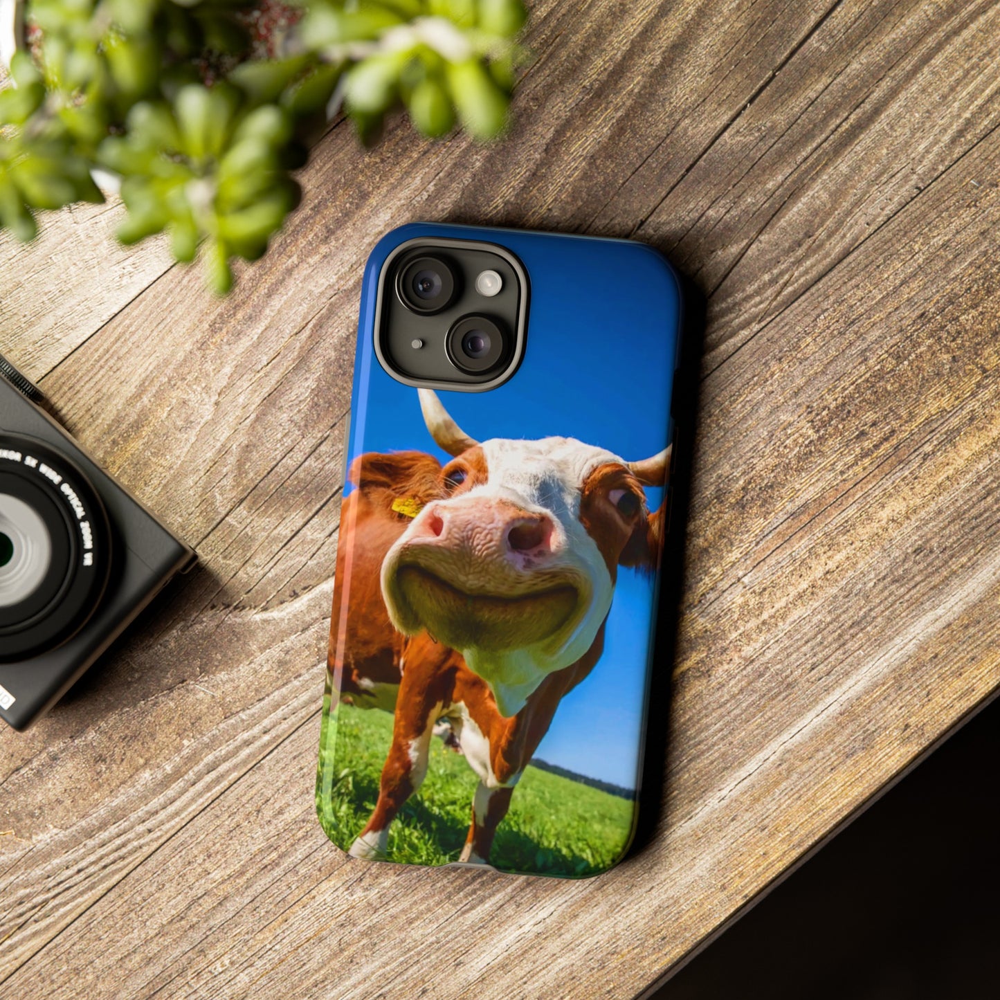 Dutch Cow Delight: Iphone 15, 14, 13, 12 Cases