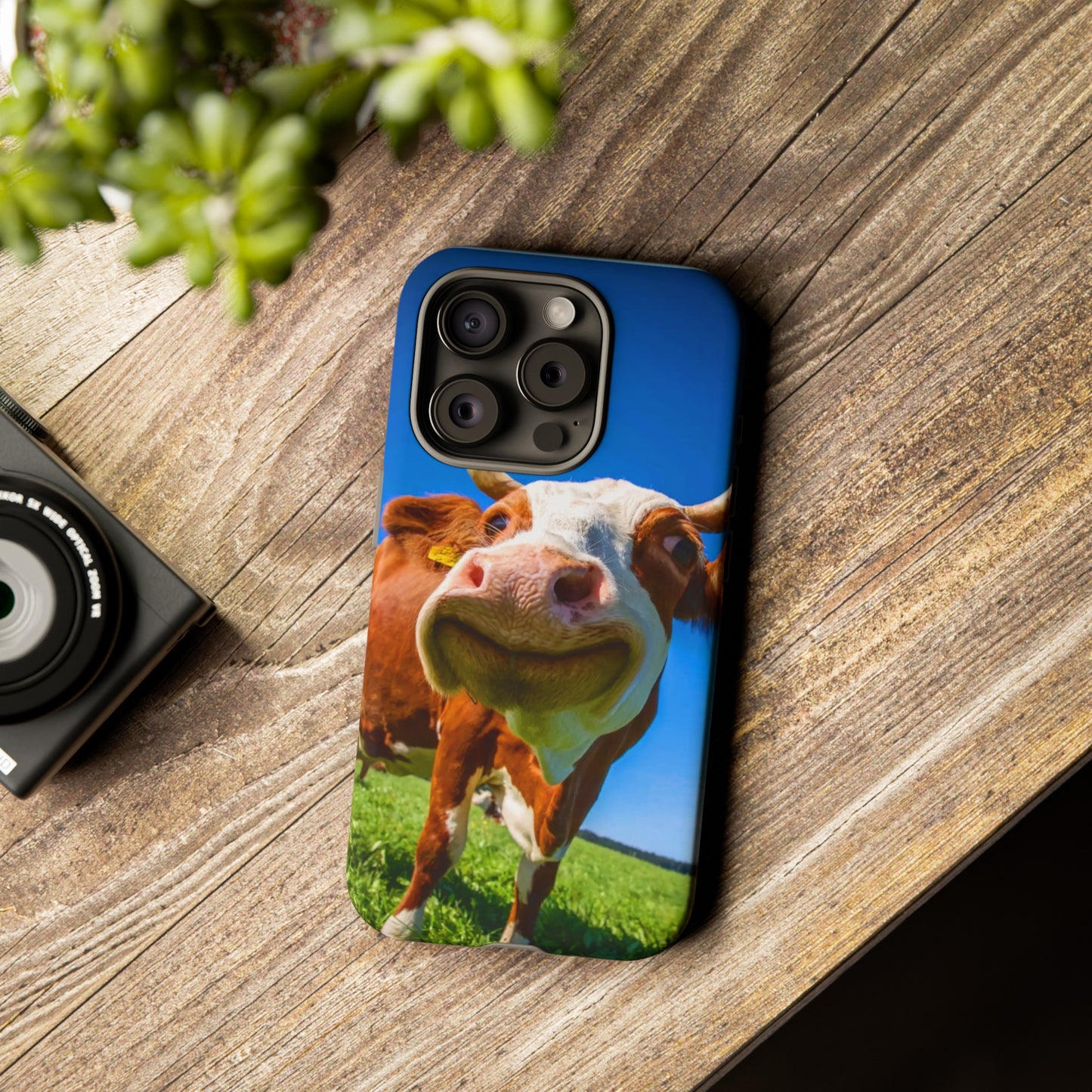 Dutch Cow Delight: Iphone 15, 14, 13, 12 Cases