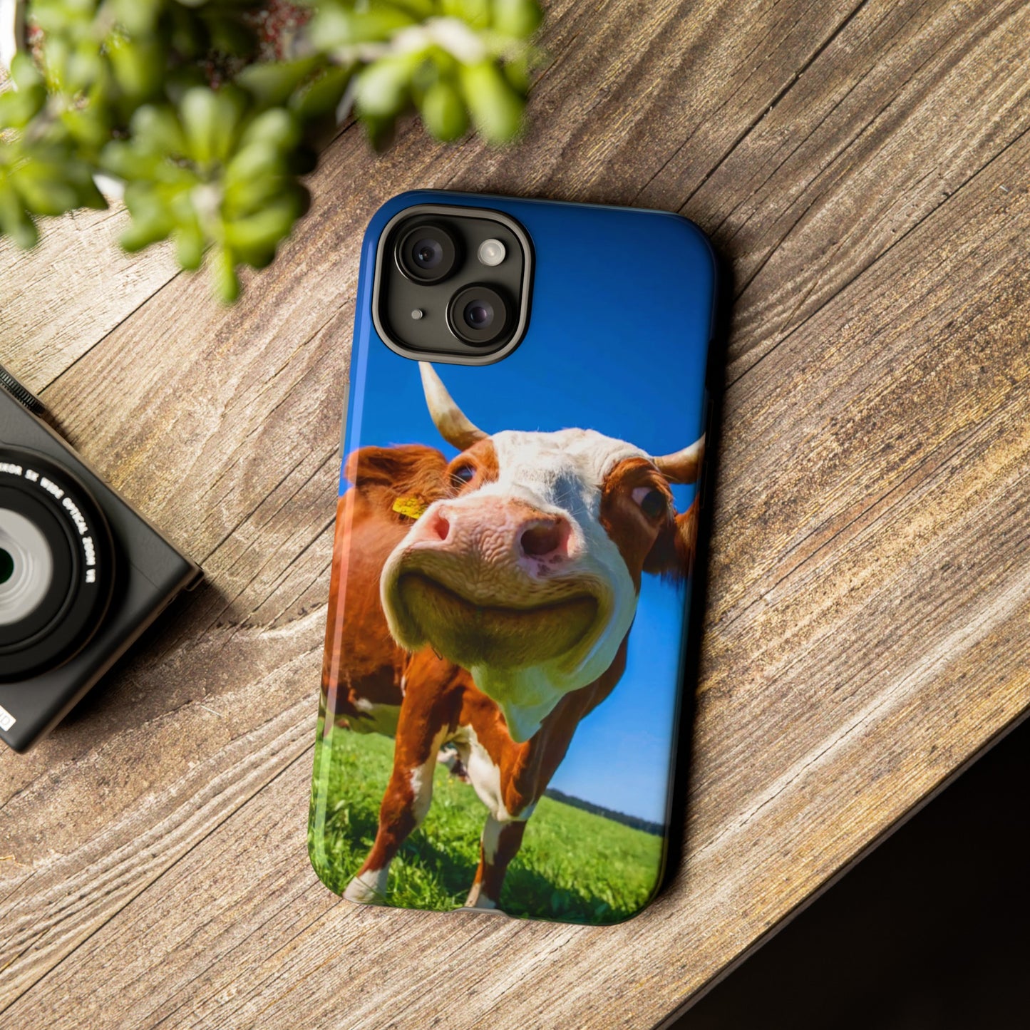 Dutch Cow Delight: Iphone 15, 14, 13, 12 Cases